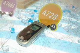 2005年中国国际通信设备技术展 8号馆摩托罗拉产品秀图片回顾